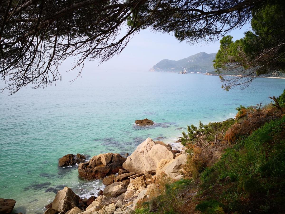 Perola Do Ar - Estudio No Coracao De Setúbal Dış mekan fotoğraf